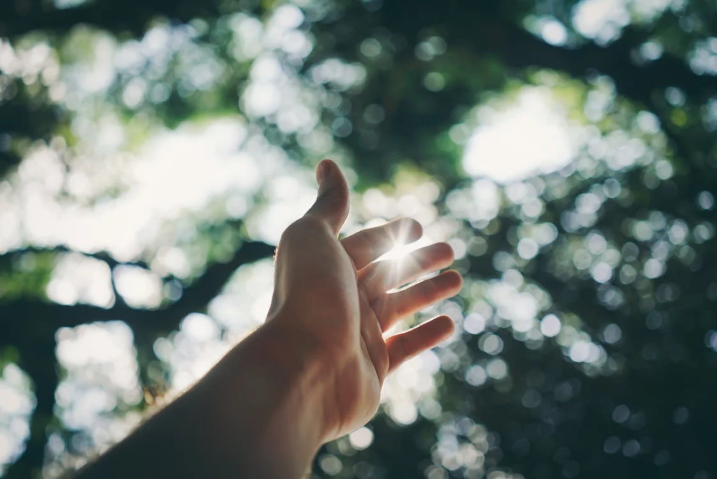 a hand reaching up