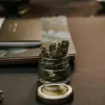Close-up of kush in a glass container,